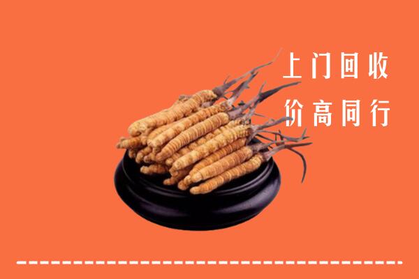 附近收购：靖西市冬虫夏草回收多少钱每克
