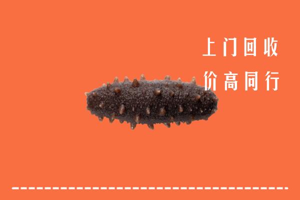 靖西市回收海参
